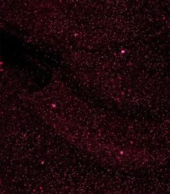 Pink Gellac - Dramatic Red - Gellak - Vegan - Rood - Shimmer Finish - 15 Ml 4 Pink Gellac - Dramatic Red - Gellak - Vegan - Rood - Shimmer Finish - 15 Ml -Nagelbenodigdheden 1050x1200 204