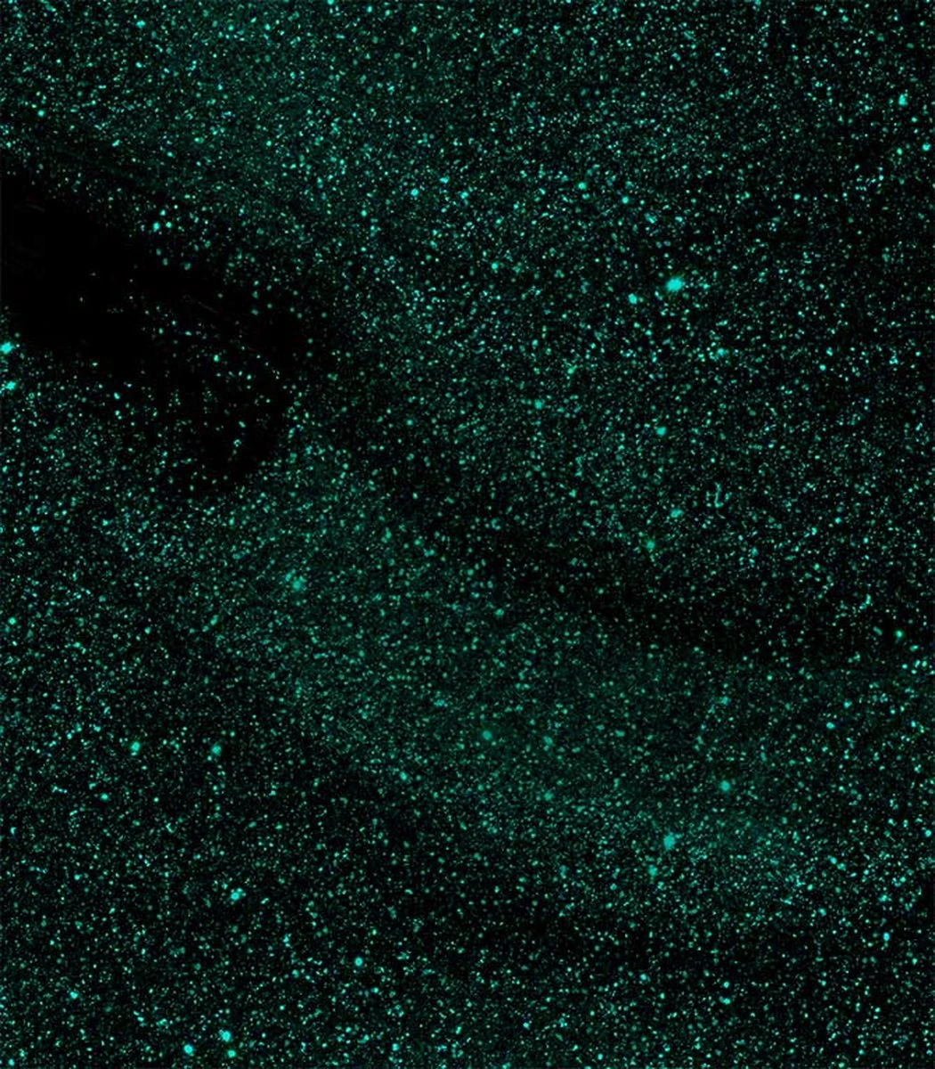 Pink Gellac - Mermaid Green - Gellak - Groen - 15 ml Pink Gellac - Mermaid Green - Gellak - Groen - 15 Ml -Nagelbenodigdheden 1050x1200 59