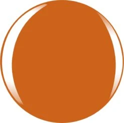 L’Oréal Paris Color Riche Le Vernis - 303 Lush Tangerine - Oranje - Nagellak -Nagelbenodigdheden 1200x1197 3