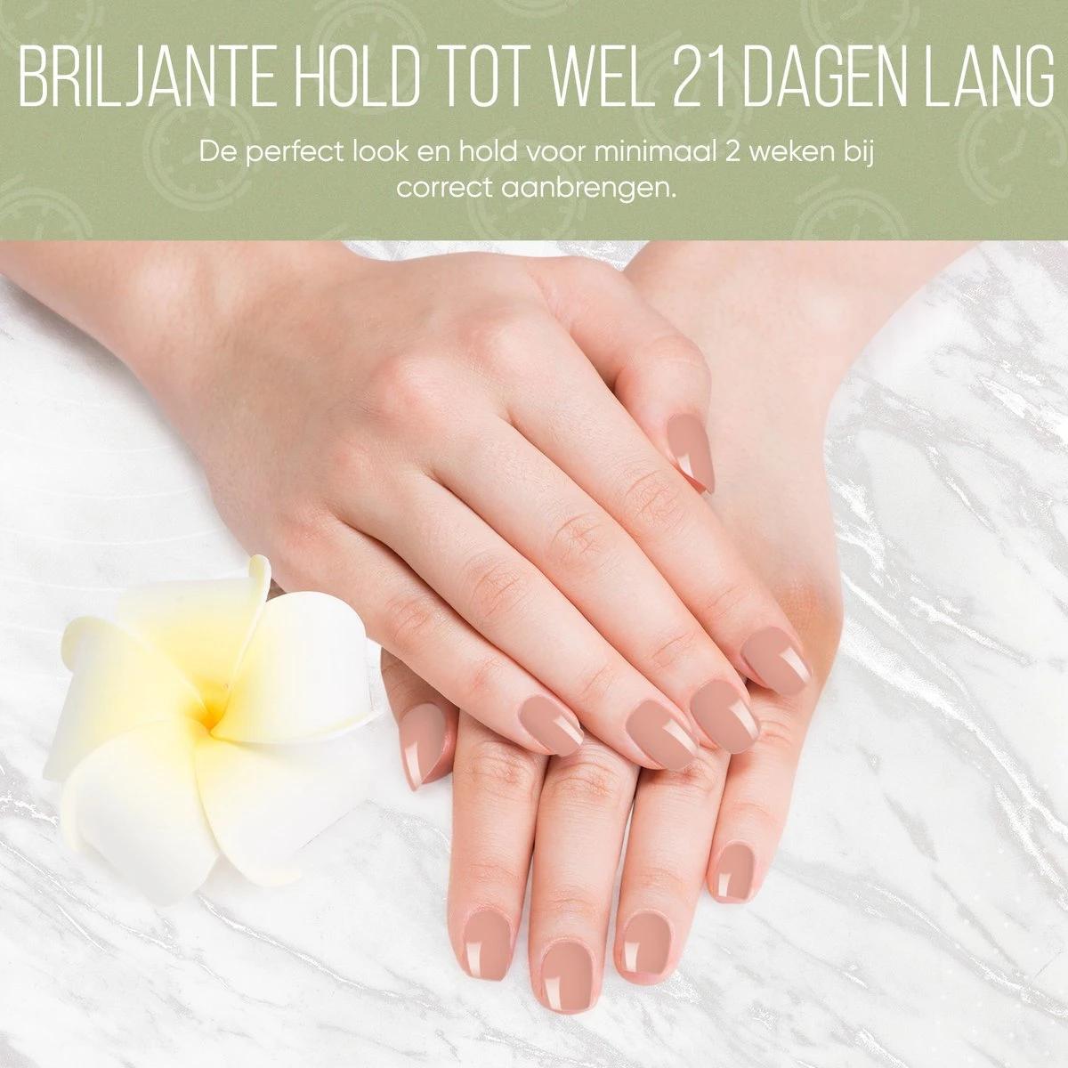 Lovae Cosmetics Gellak - 6-delige Set - Gel Nagellak - Coral Green - Gellac - 8ML Lovae Cosmetics Gellak - 6-delige Set - Gel Nagellak - Coral Green - Gellac - 8ML -Nagelbenodigdheden 1200x1200 183