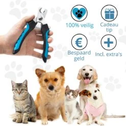 Merkloos Nagelknippper Hond Nagelknipper Kat + E-BOOK - Nagelschaar Hond - Nagelschaar Kat - Honden Nagelknipper - Nagelvijl Hond - Nageltang Hond - Nagelknipper Hond Veiligheidsstop - Nagel Hond - Bwa Commerce 3 Merkloos Nagelknippper Hond Nagelknipper Kat + E-BOOK - Nagelschaar Hond - Nagelschaar Kat - Honden Nagelknipper - Nagelvijl Hond - Nageltang Hond - Nagelknipper Hond Veiligheidsstop - Nagel Hond - Bwa Commerce -Nagelbenodigdheden 1200x1200 957