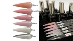 Gellex - Absolute Builder Gel In A Bottle - Aphrodite 15ml - Gellak -Gel Nagels -Nagelbenodigdheden 1200x671