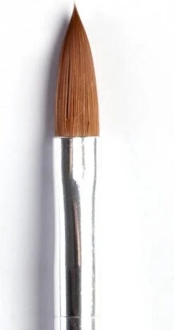 Merkloos Acryl Penselen (5 Kleuren) 4 Merkloos Acryl Penselen (5 Kleuren) -Nagelbenodigdheden 634x1200 2