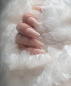 Knapzeker Gelly Tips Medium Coffin 500 Stuks 12 Maten Plaknagels Met Doos + Knapzeker Nagelvijl 100/180 - Transparant Nageltips Full Cover Voor Acryl - Gel Nails- Nepnagels Soak Off -Nagelbenodigdheden 990x1200